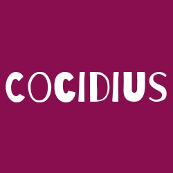 Cocidius