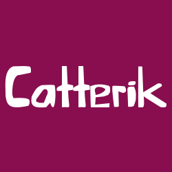 Catterik