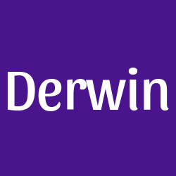 Derwin