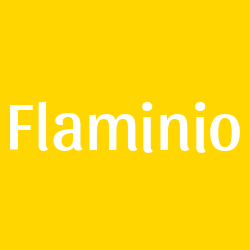 Flaminio