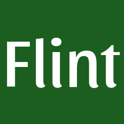 Flint