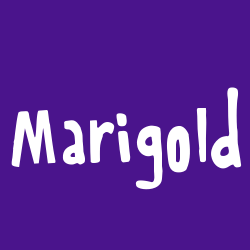 Marigold